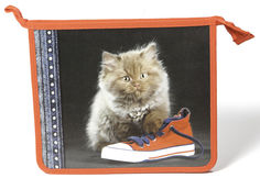 Папка для тетрадей Silwerhof 671719 Киска A5 240х210х40мм 1отд. пластик на молнии