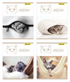 Тетрадь Silwerhof 811503-55 48л. клет. A5 Ку-ку! 4диз. картон вод.лак скрепка