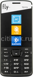 Мобильный телефон FLY TS113, черный