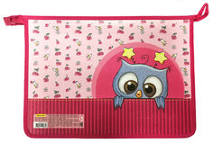 Папка для тетрадей Silwerhof 671911 Сова A4 340х245х40мм 1отд. пласт./лам.карт. на молнии