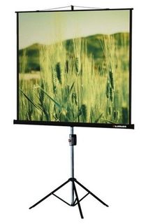 Экран LUMIEN Master View LMV-100102, 153х153 см, 1:1, напольный