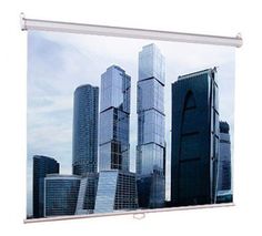Экран LUMIEN Eco Picture LEP-100103, 200х200 см, 1:1, настенно-потолочный