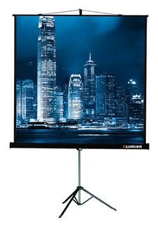 Экран LUMIEN Master View LMV-100107, 203х153 см, 4:3, напольный