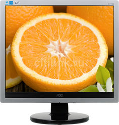Монитор ЖК AOC Professional e719sda(/01) 17&quot;, серебристый и черный