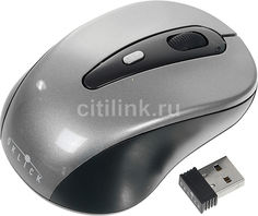 Мышь OKLICK 435MW оптическая беспроводная USB, серый и черный [tm-3000 black/grey]