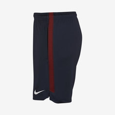 Мужские футбольные шорты Paris Saint-Germain Dri-FIT Squad Nike