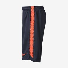 Мужские футбольные шорты FC Barcelona Dri-FIT Squad Nike