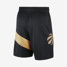 Мужские шорты Nike НБА City Edition Swingman (Toronto Raptors)