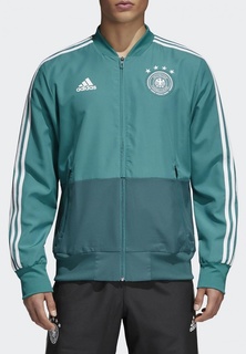 Олимпийка adidas DFB PRE JKT