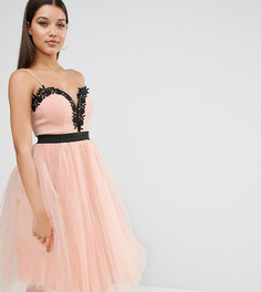 Платье с кружевным лифом и юбкой из тюля Rare London - Розовый