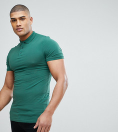 Зеленая облегающая трикотажная футболка-поло ASOS TALL - Зеленый