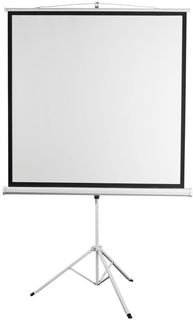 Экран Digis Kontur-D DSKD-1103, 150х150 см, 1:1, напольный Noname