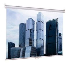 Экран LUMIEN Eco Picture LEP-100105, 160х160 см, 1:1, настенно-потолочный
