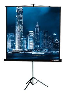 Экран LUMIEN Master View LMV-100108, 244х183 см, 4:3, напольный