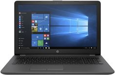 Ноутбук HP 255 G6 1XN66EA (черный)
