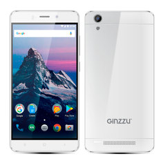 Сотовый телефон Ginzzu S5230 White