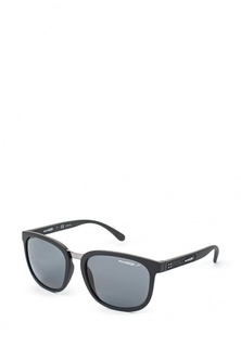 Очки солнцезащитные Arnette AN4238 01/81