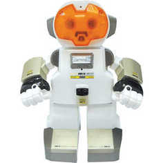 Silverlit Интеллектуальный робот Echo 88308s