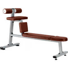 Скамья для пресса Bronze Gym J-035