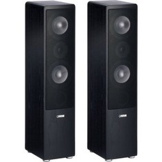 Напольная акустика Canton Ergo 670 black