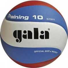 Мяч волейбольный Gala Training 10 (BV5561S), размер 5, цвет бело-голубо-красный
