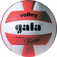 Мяч волейбольный Gala Bora 10, арт. BV5671S, р. 5, бело-красный