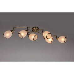 Спот Omnilux OML-35127-06