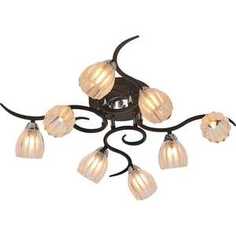 Люстра IDLamp 213/8PF-Blackchrome