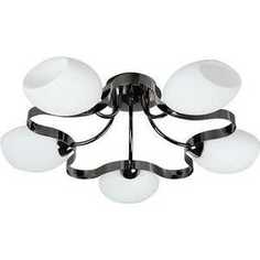 Люстра IDLamp 601/5PF-SUNDarkchrome