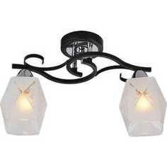 Люстра IDLamp 233/2PF-Blackchrome