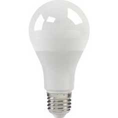 Светодиодная лампа X-flash XF-E27-A65-P-11W-3000K-220V Артикул 44825
