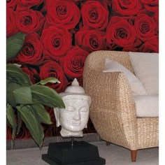Фотообои Komar Roses 194 х 270см. (4-077)