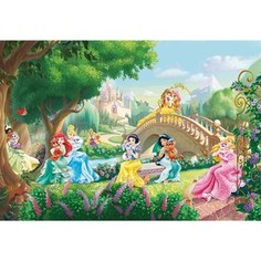 Фотообои Disney Edition 1 Princess Palace Pets 368 х 254см.