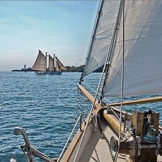 Фотообои Komar Sailing 368 х 254см. (8-526)