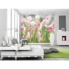 Фотообои Komar Secret Garden 368 х 254см. (8-708)