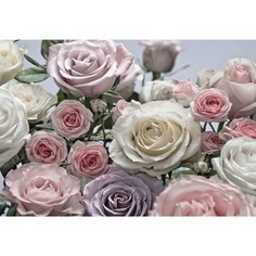 Фотообои Komar Floraison 368 х 254см. (8-736)