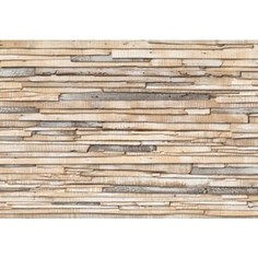 Фотообои Komar Whitewashed Wood 368 х 254см. (8-920)