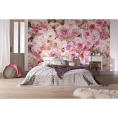 Фотообои Komar Rosa 368 х 254см. (8-937)