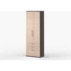 Шкаф 2-дверный с ящиками ВасКо Соло 054-1103