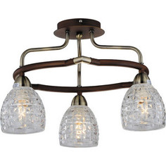 Люстра N-light 412-03-53ABW