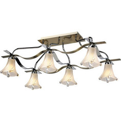 Люстра N-light 472-06-13