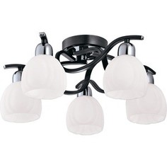 Люстра IDLamp 389/5PF-Blackchrome