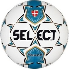 Мяч футбольный Select Forza арт. 811108-002 р.5
