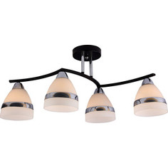 Потолочная люстра Silver Light Enigma 227.59.4