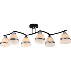 Потолочная люстра Silver Light Enigma 227.59.6