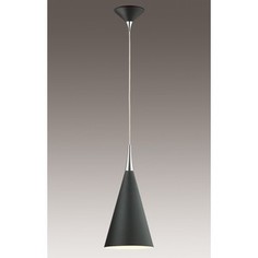 Подвесной светильник Odeon 2862/1