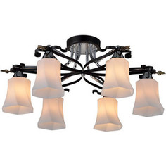 Потолочная люстра IDLamp 849/6PF-Dark