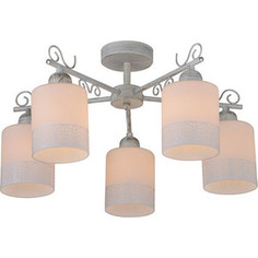 Потолочная люстра IDLamp 848/5PF-Whitepatina