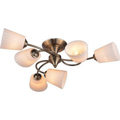Потолочная люстра IDLamp 879/6PF-Oldbronze