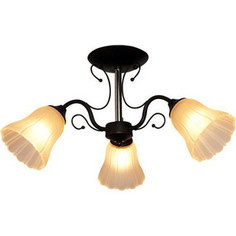 Потолочная люстра IDLamp 872/3PF-Argentoscuro